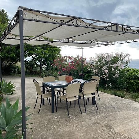 Casa Vacanze Piedigrotta Villa Pizzo  Eksteriør billede