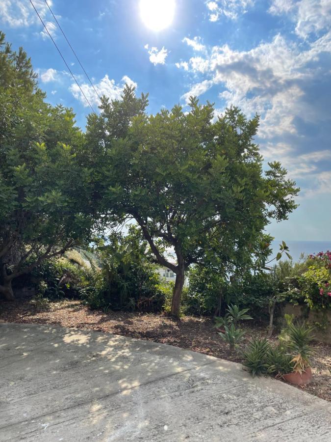 Casa Vacanze Piedigrotta Villa Pizzo  Eksteriør billede